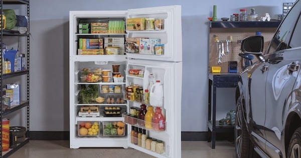 The Best Garage Refrigerator Models - Reviews, Features, Prices