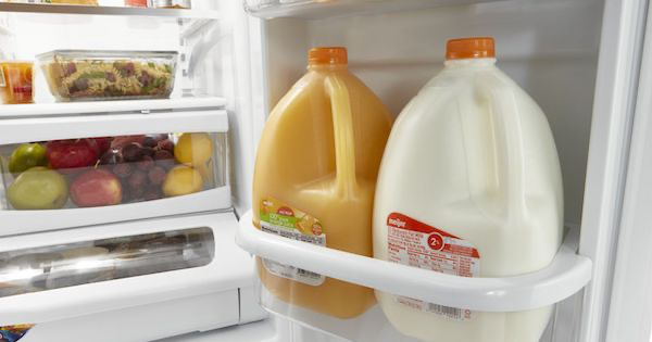 Refrigerator Organization - Interior Storage Options