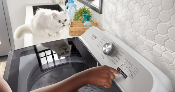 Make Pet Hair Removal A Breeze With These Innovative Laundry Appliances!